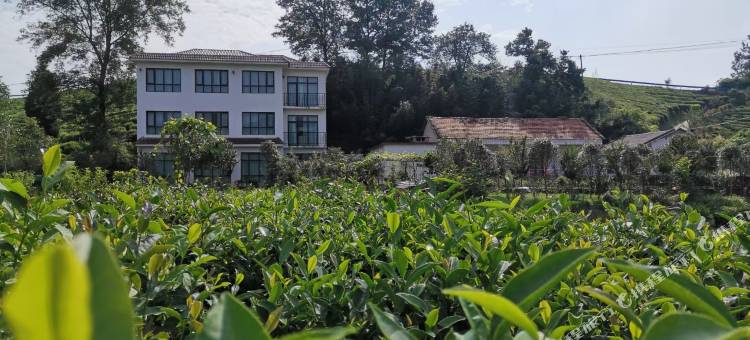 信阳沐茶庄园民宿图片