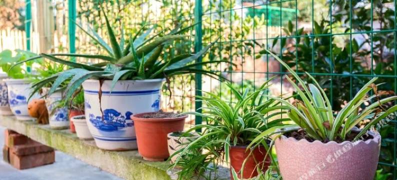 上海小小周民宿图片