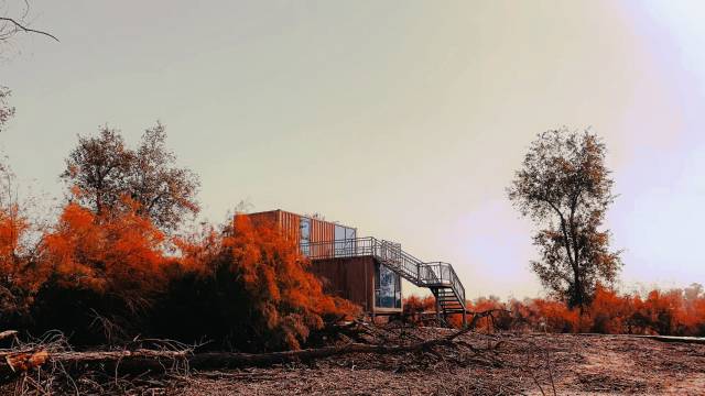 沙雁洲民宿(塔里木河湿地旅游景区店)