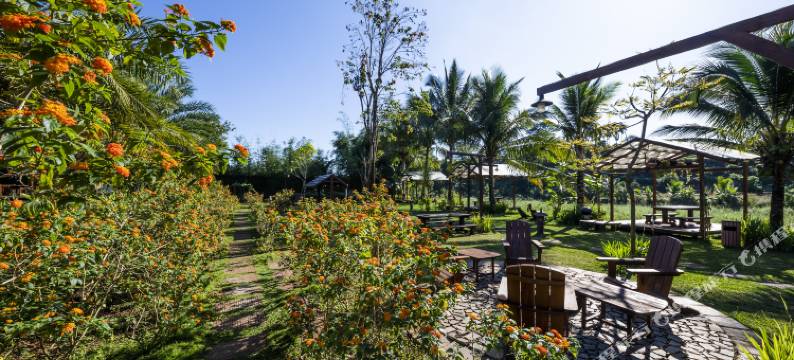 哈密花园-原汁原味自然度假村(Hami Garden)图片