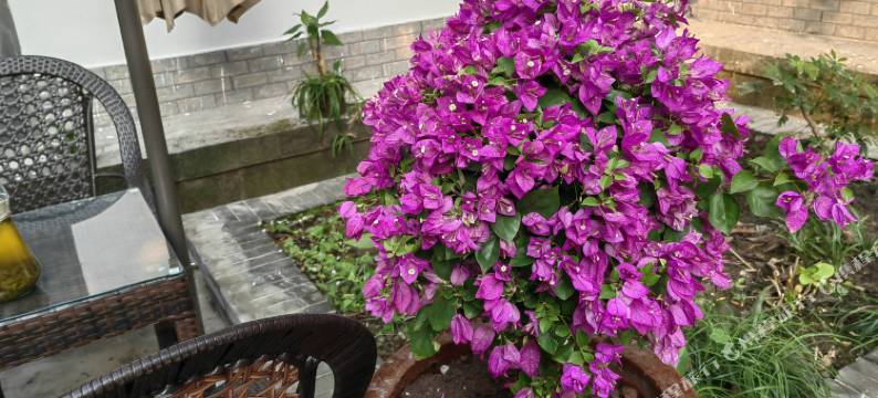 重庆玮渝客栈(龙兴古镇店)图片