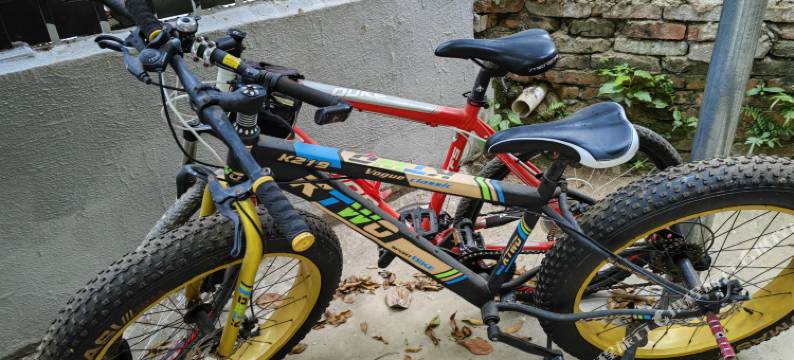 丰莲民宿(冠头岭海滩普度寺店)图片