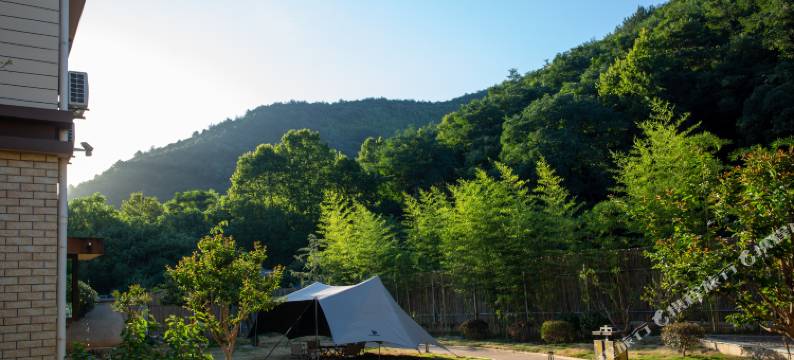 浔山舍别墅酒店图片