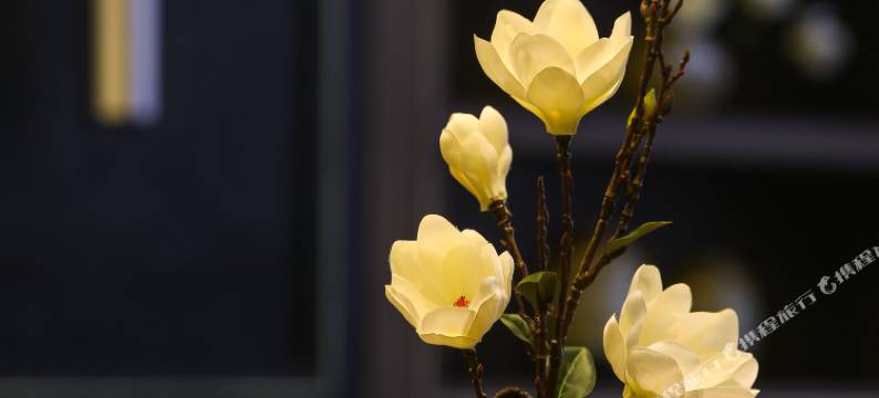 潍坊海澜国际酒店图片