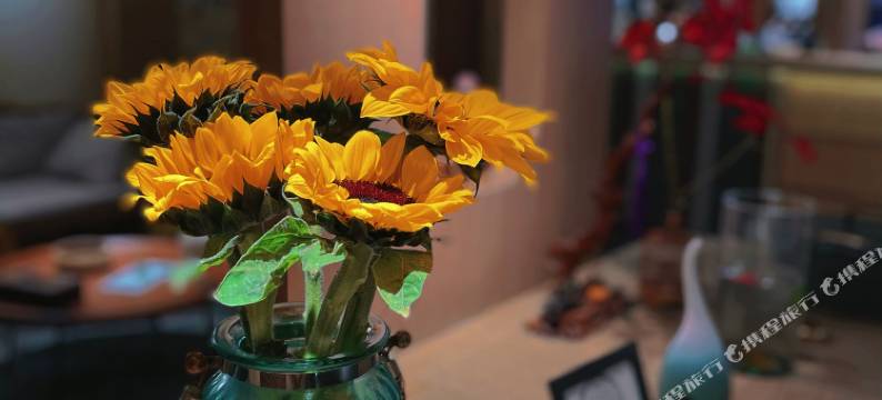 娄澜庭院酒店(苏州平江路拙政园店)图片