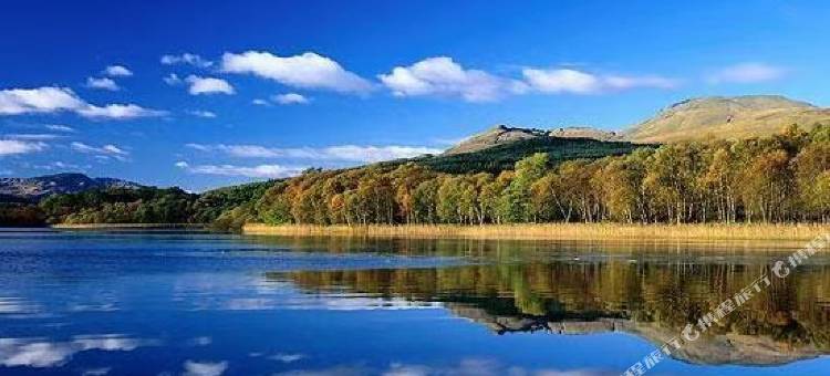 麗枫酒店(湛江高铁西站店)图片