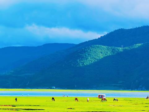巴拉格宗酒店(香格里拉松赞林景区店)图片