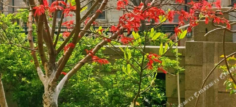 青岛仁者无敌公寓图片