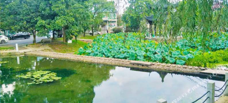 和园悦宿·Azuresky荷畔赏月静享隐宿(安吉浙北大峡谷店)图片