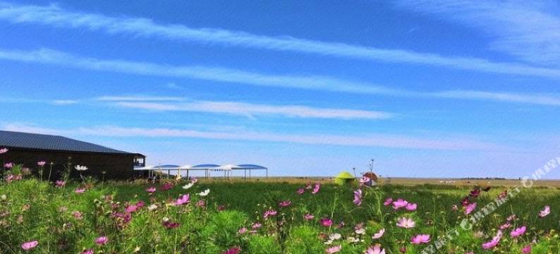 杭锦旗漠中情宾馆图片