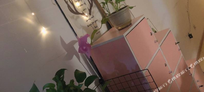 北京转角遇到你青年旅社图片