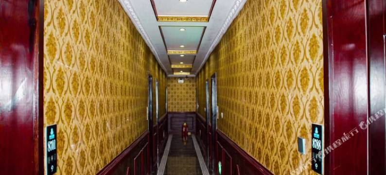 新龙格萨大酒店图片