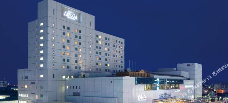 丰桥Associa酒店(JR东海酒店集团)(Hotel Associa Toyohashi(JR-Central Hotels))图片