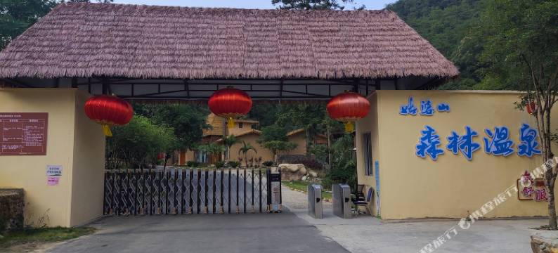 姑婆山森林酒店图片