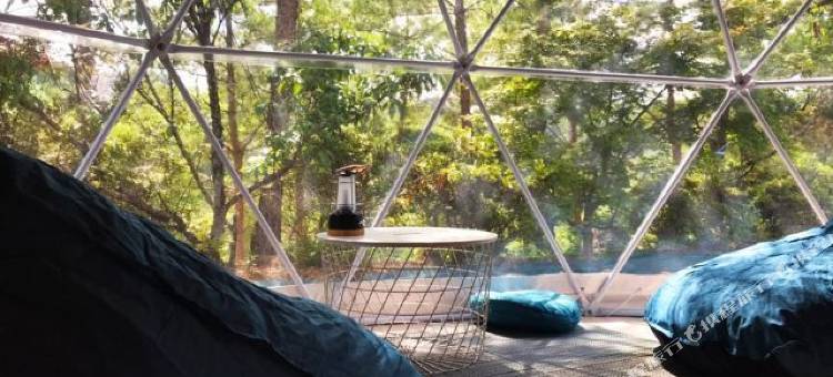 glampark 长野月下美人(glampark Gekkabijin Nagano)图片