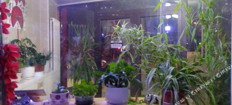 云客来旅店图片