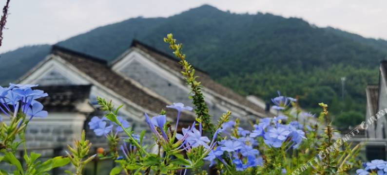宁波东钱湖吾一山居(韩岭印巷店)图片