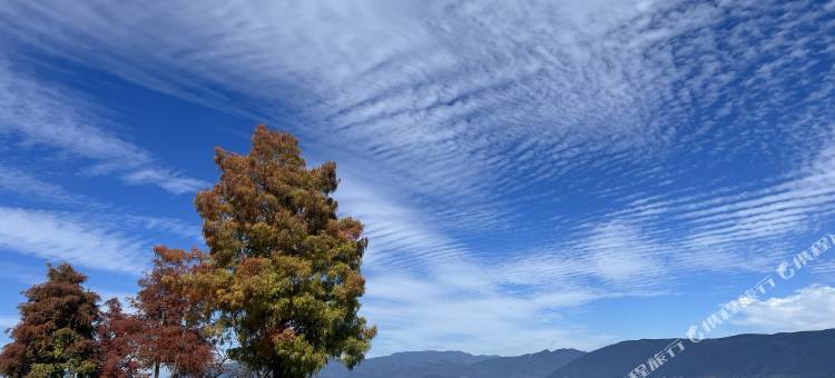 大理聆海相约客栈(洱海S湾生态廊道店)图片