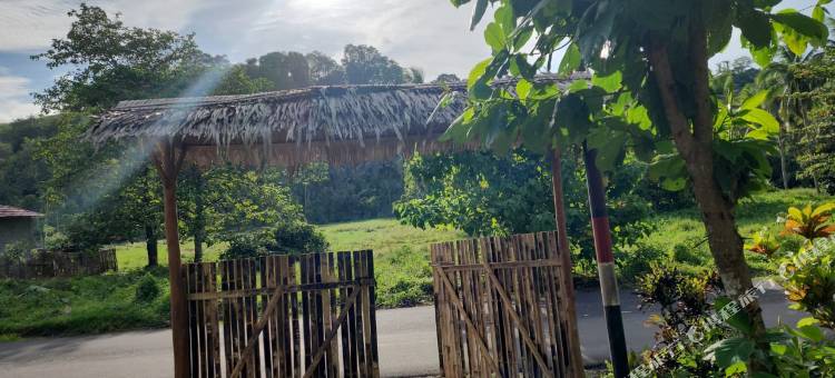 诺亚旅馆(Pondok Wisata Noah)图片