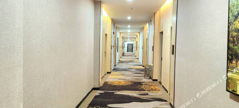 东莞朗悦酒店(大朗里悦里购物中心店)图片