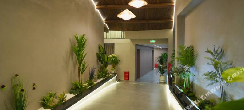 壹号庭院民宿图片