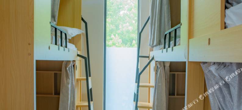 欢雀国际青年旅舍(博爱门店)图片