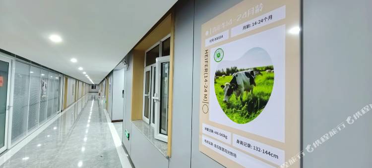 凉城金石牧业民宿(金石观光牧场店)图片