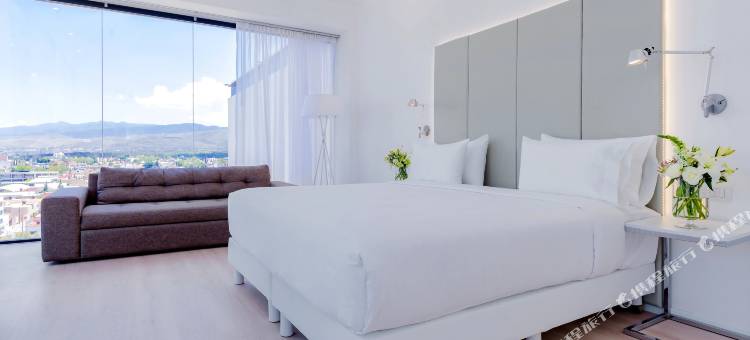 NH酒店-圣路易斯波托西(NH San Luis Potosi)图片