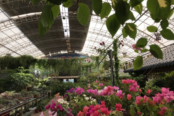 嘉峪关阳光绿岛生态酒店