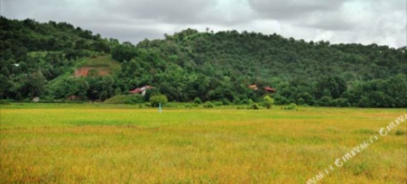 琶帕尔科坡西森民宿(Koposizon Homestay Papar)图片