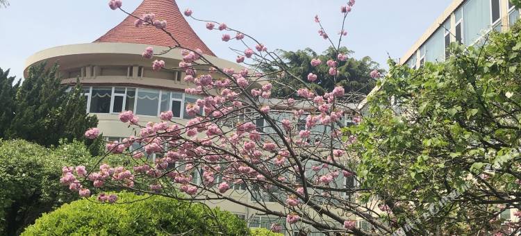 青岛花园大酒店(五四广场小麦岛公园店)图片