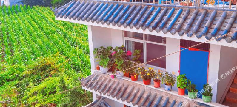 栾川桃源人家客栈图片