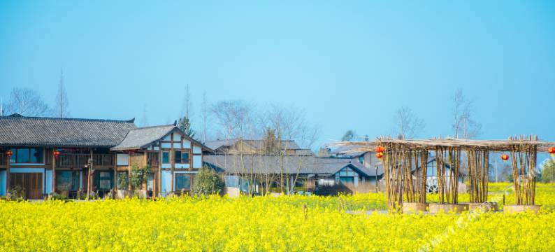 大邑稻乡渔歌田园笔记图片