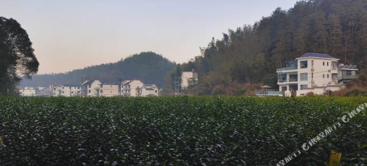 歙县茶园里村居图片