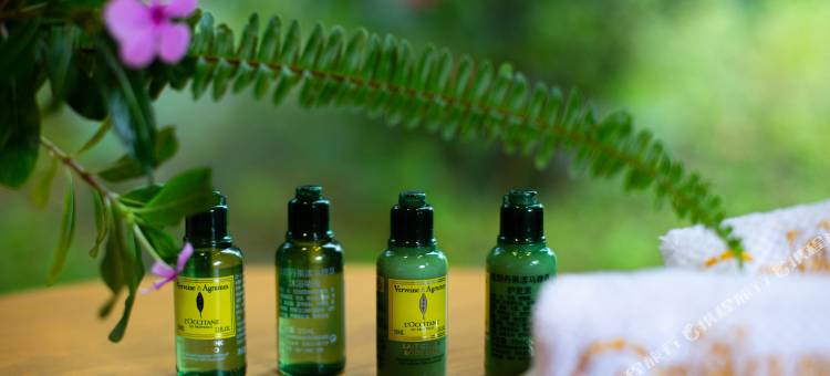 普洱小熊猫庄园图片