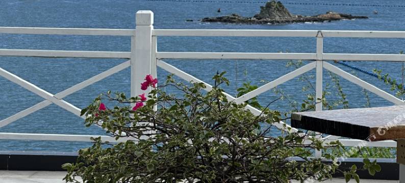 深圳柚柑小筑海景民宿图片