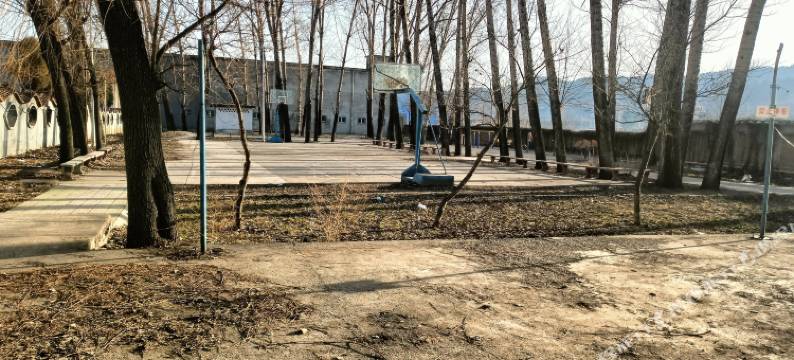 太岳大酒店图片