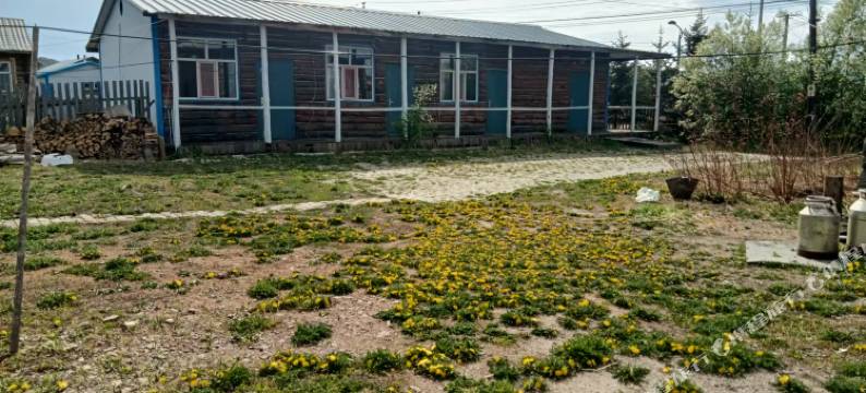 额尔古纳恩和恒益客栈图片