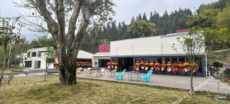 云鲤禅养民宿(金佛山店)图片