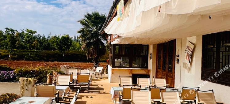 抚仙湖泊莲臣客栈图片