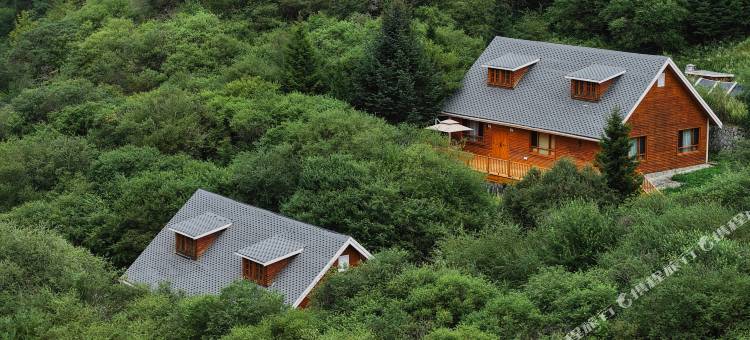 王朗大熊猫探秘营地图片