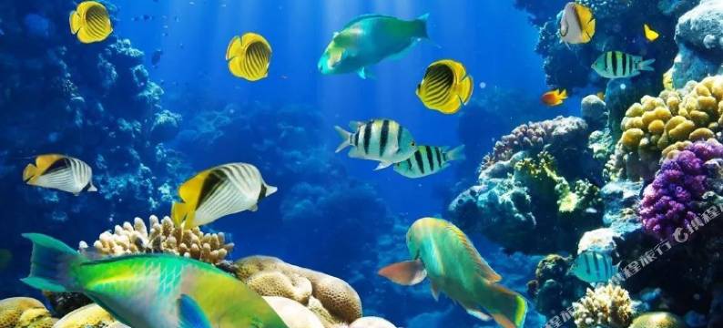 惠东海尚湾畔仕航公寓图片