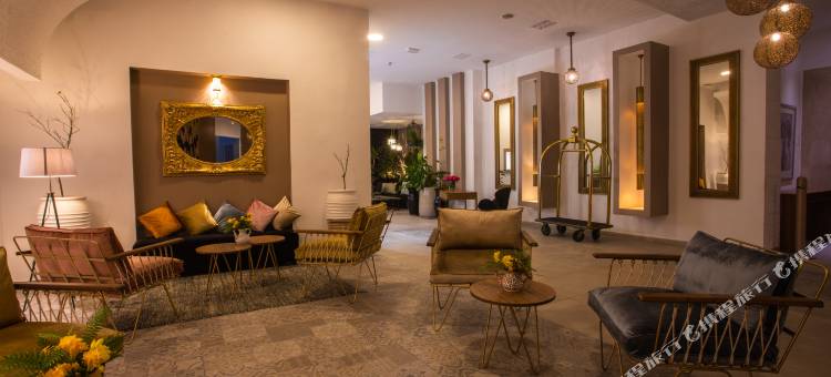 德拉洛萨水疗套房酒店(Dellarosa Boutique Hotel and Spa)图片