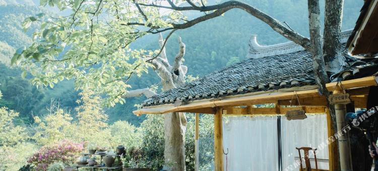 绥宁铁杉林苑民宿图片