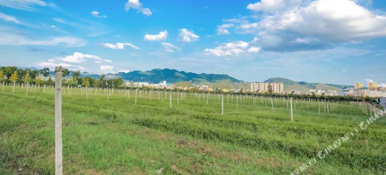 广州久龙精品酒店(余庆上城苑店)图片