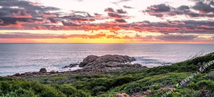 亚林加普贝类酒店(Seashells Yallingup)图片