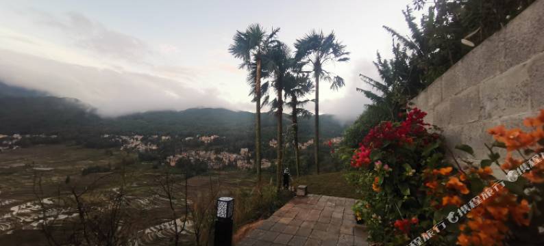 元阳云上天上花乡客栈图片