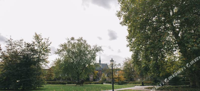 市场景观酒店(Hotel Marktzicht)图片