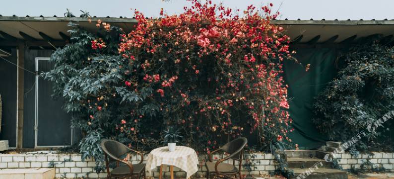 金阳光商务酒店(成都华西医院店)图片