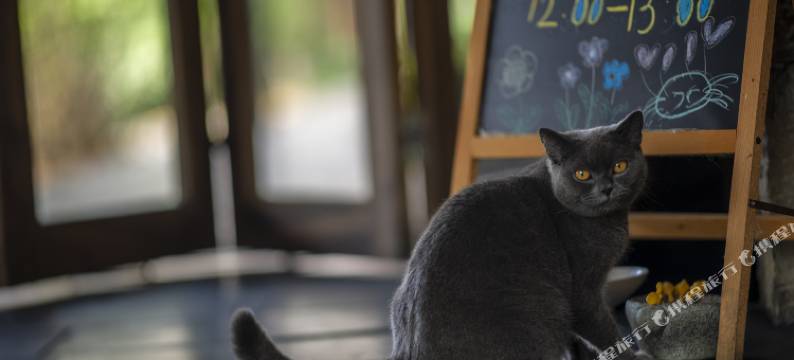 璞墟·化屋山河图精品度假民宿图片